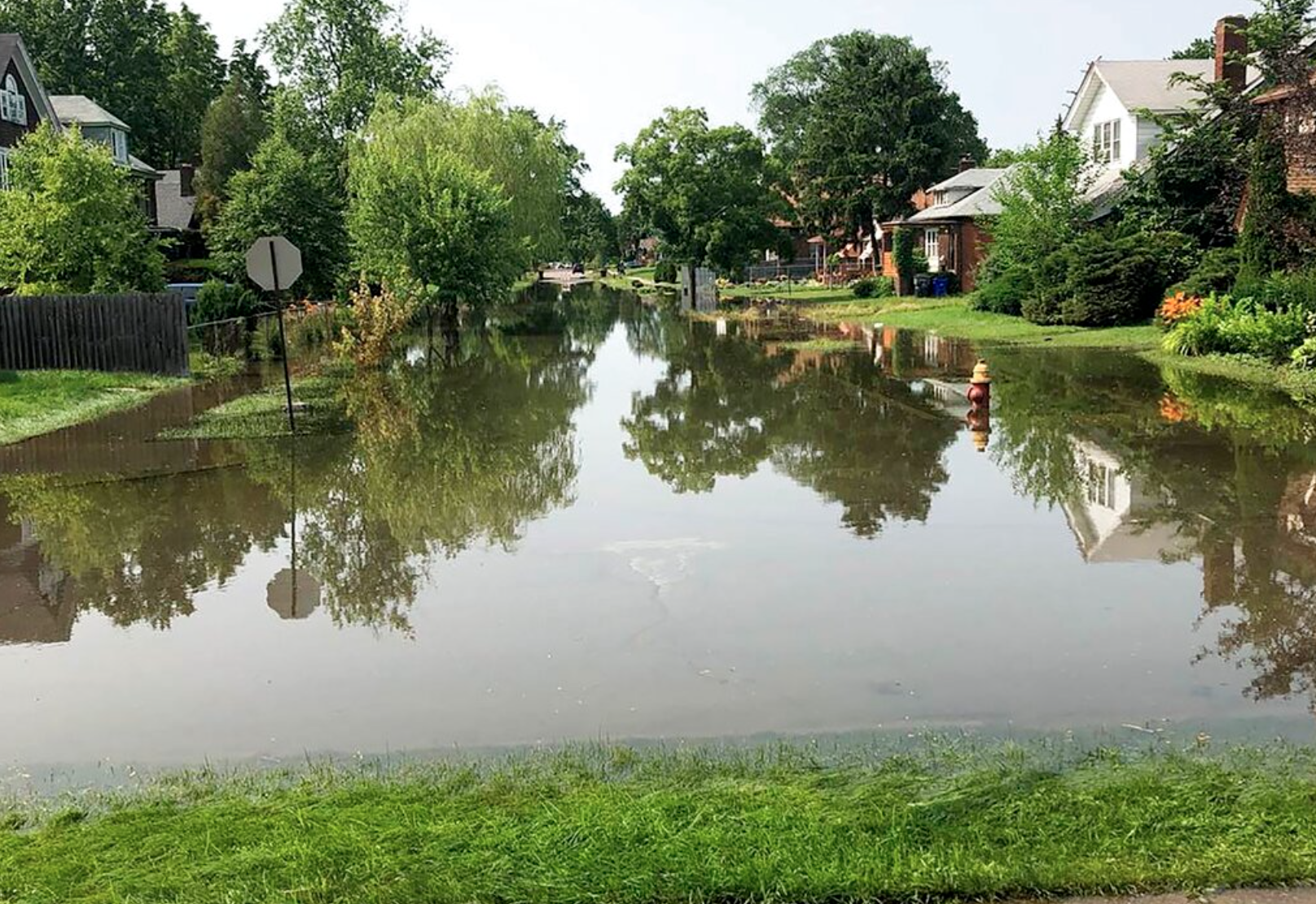 Mold takes hold in Metro Detroit basements after floods, sewage backups