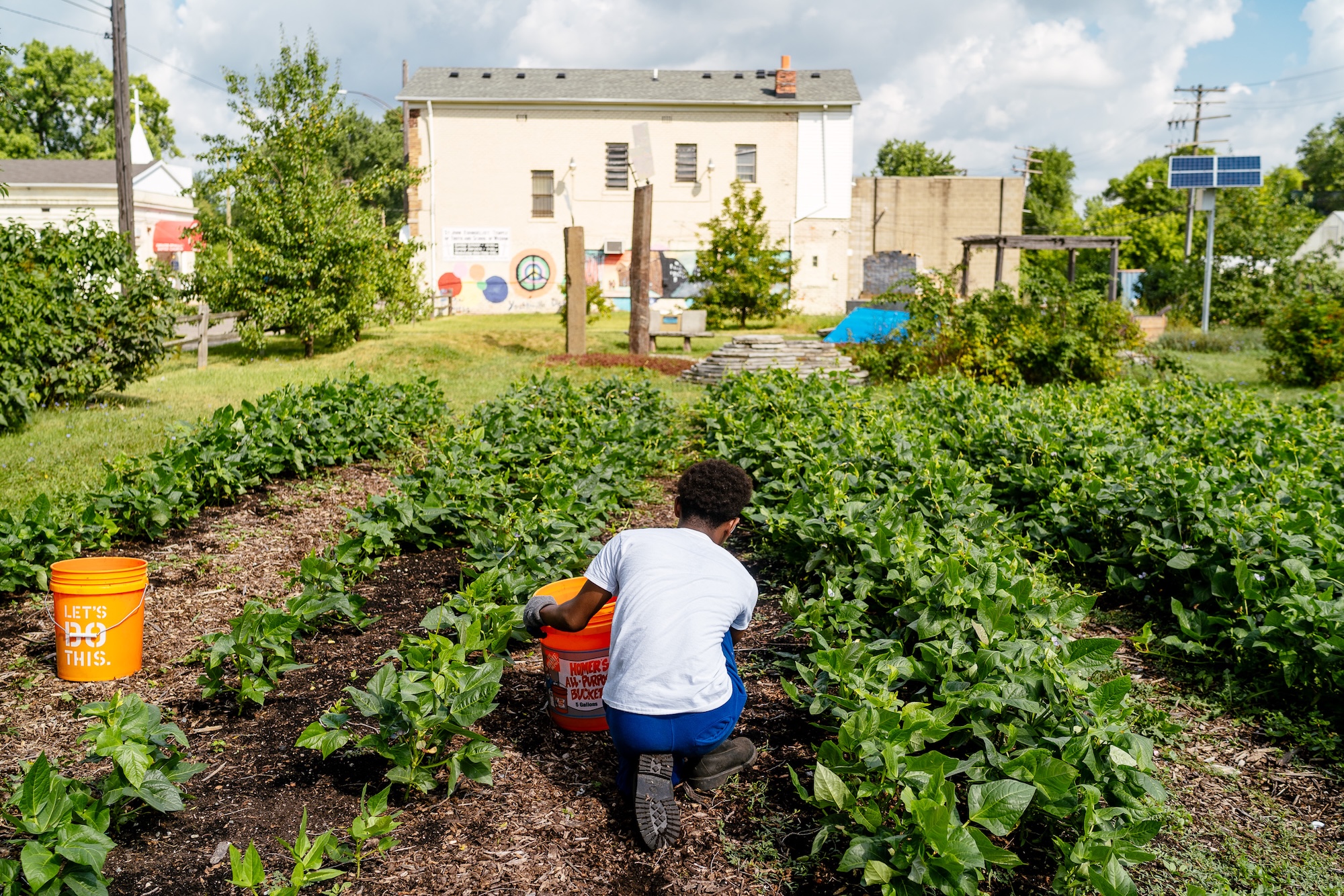 From ‘Three Sisters’ to 3200+ gardens: The long history of growing food in Detroit